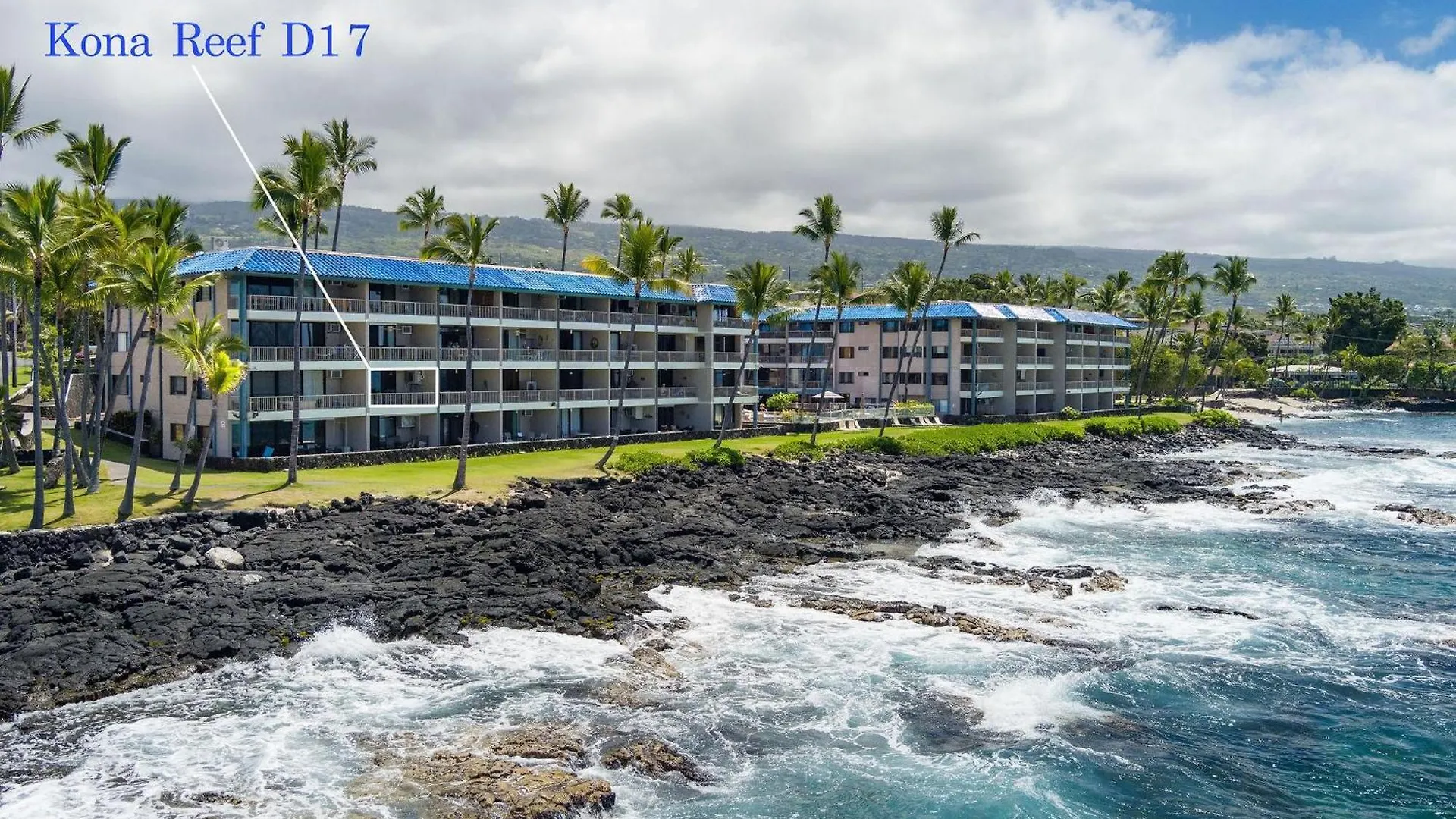 Kona Reef D17の連絡先